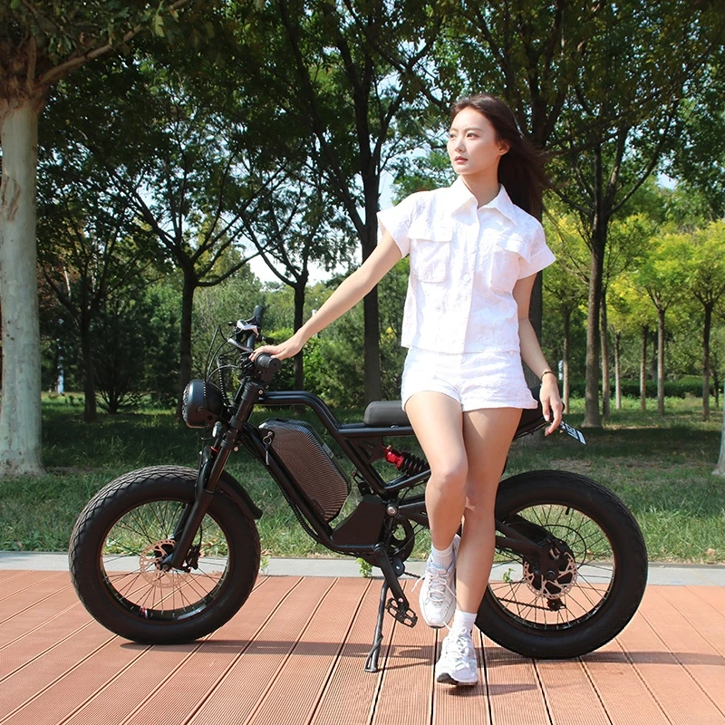 แบตเตอรี่ลิเธียม SXLL SXLL13Ah - 48V 1500W Rear Hub Motor With Battery บทวิจารณ์และราคา